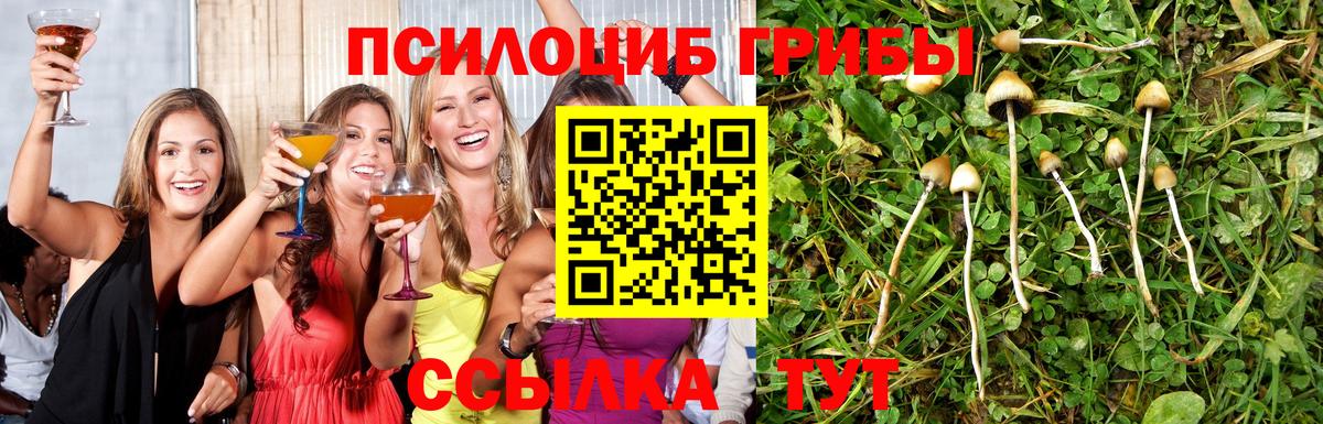 Реж  Галлюциногенные грибы MAGIC MUSHROOMS  Галлюциногенные грибы ЛСД  Вход с VPN 